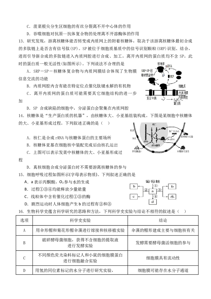 福建省龙岩市连城县第一中学2025-2026学年高一上学期12月月考生物试题（含答案）_2024-2025高一（7-7月题库）_2026年1月高一