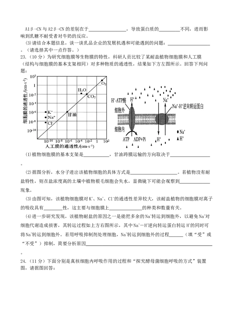 福建省龙岩市连城县第一中学2025-2026学年高一上学期12月月考生物试题（含答案）_2024-2025高一（7-7月题库）_2026年1月高一