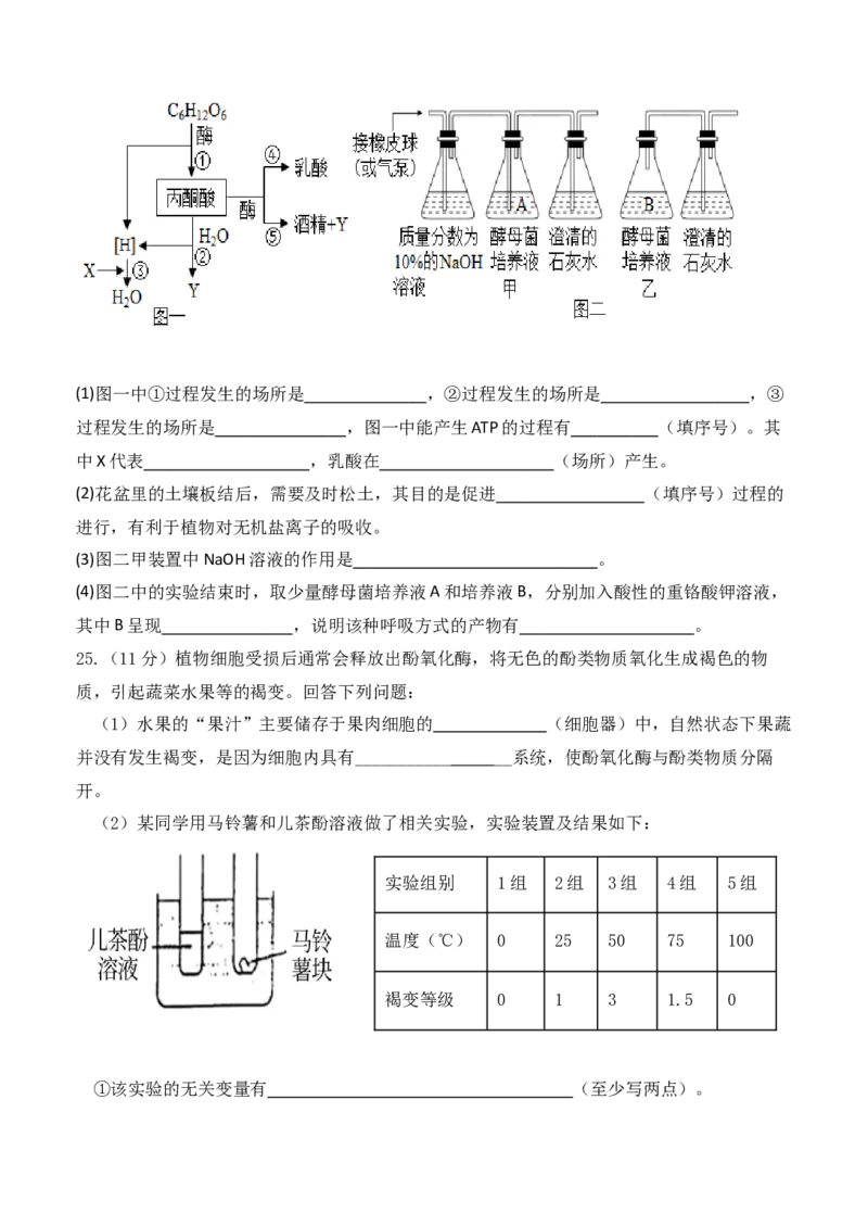 福建省龙岩市连城县第一中学2025-2026学年高一上学期12月月考生物试题（含答案）_2024-2025高一（7-7月题库）_2026年1月高一