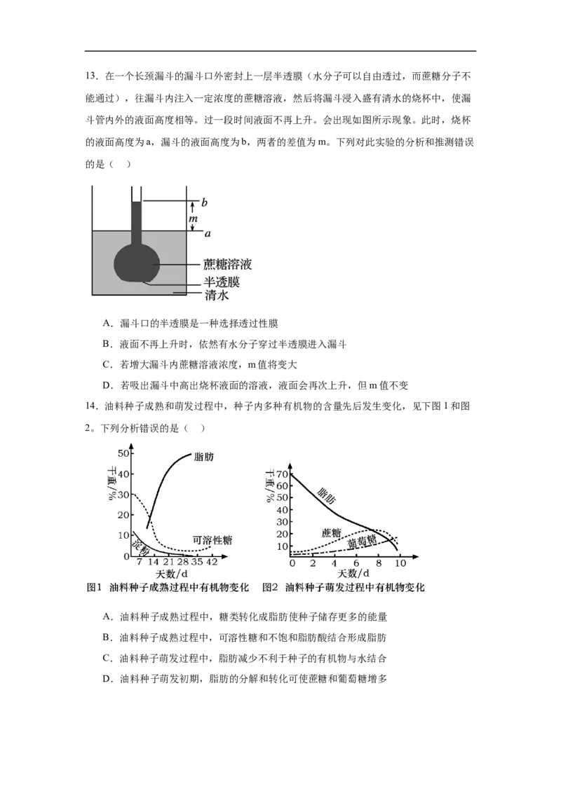 湖南省岳阳市汨罗市第二中学2025-2026学年高一上学期12月月考生物试题（含答案）_2024-2025高一（7-7月题库）_2026年1月高一