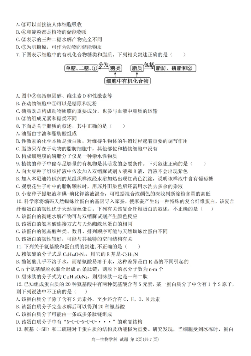 生物-浙江省精诚联盟2024学年高一第一学期10月联考_2024-2025高一（7-7月题库）_2024年10月试卷_1022浙江省精诚联盟2024学年高一第一学期10月联考