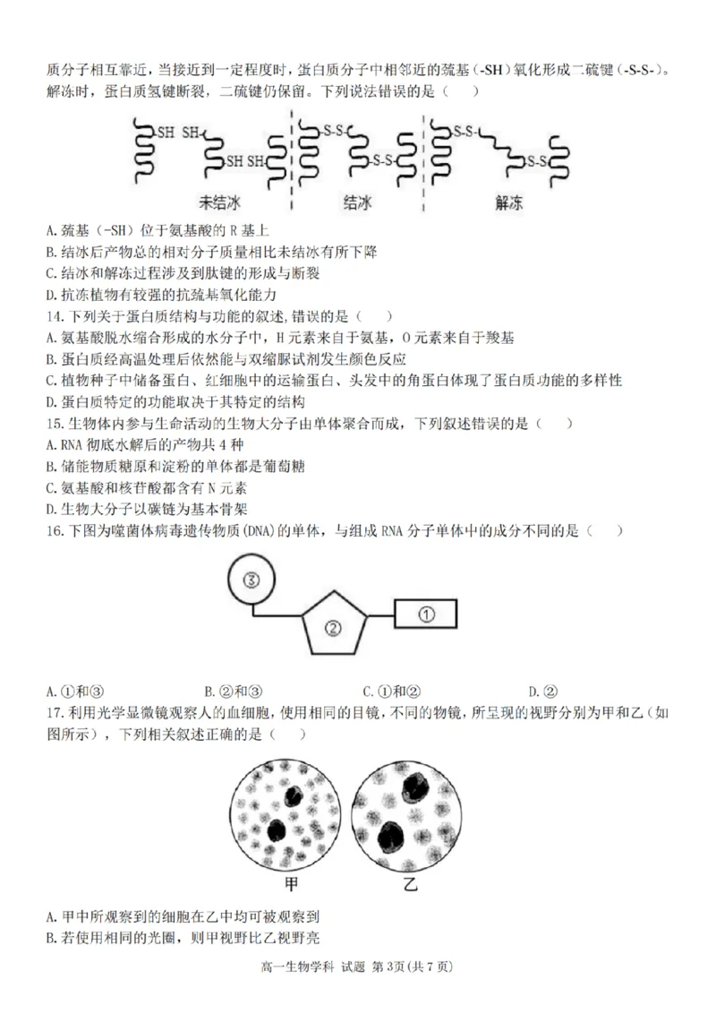 生物-浙江省精诚联盟2024学年高一第一学期10月联考_2024-2025高一（7-7月题库）_2024年10月试卷_1022浙江省精诚联盟2024学年高一第一学期10月联考