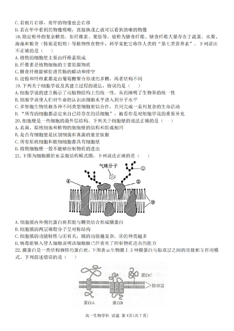 生物-浙江省精诚联盟2024学年高一第一学期10月联考_2024-2025高一（7-7月题库）_2024年10月试卷_1022浙江省精诚联盟2024学年高一第一学期10月联考