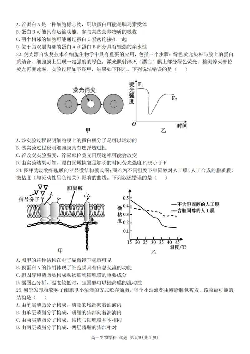 生物-浙江省精诚联盟2024学年高一第一学期10月联考_2024-2025高一（7-7月题库）_2024年10月试卷_1022浙江省精诚联盟2024学年高一第一学期10月联考