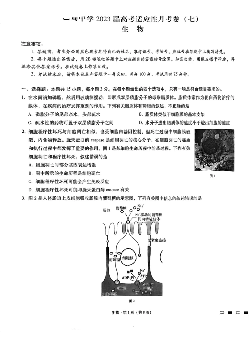 巴蜀七生物试题_2024年2月_01每日更新_14号_2023届重庆市巴蜀中学高考适应性月考卷（七）全科_重庆市巴蜀中学2022-2023学年高考适应性月考卷（七）生物