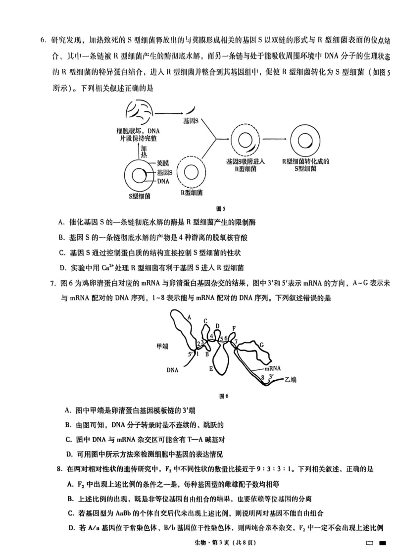 巴蜀七生物试题_2024年2月_01每日更新_14号_2023届重庆市巴蜀中学高考适应性月考卷（七）全科_重庆市巴蜀中学2022-2023学年高考适应性月考卷（七）生物