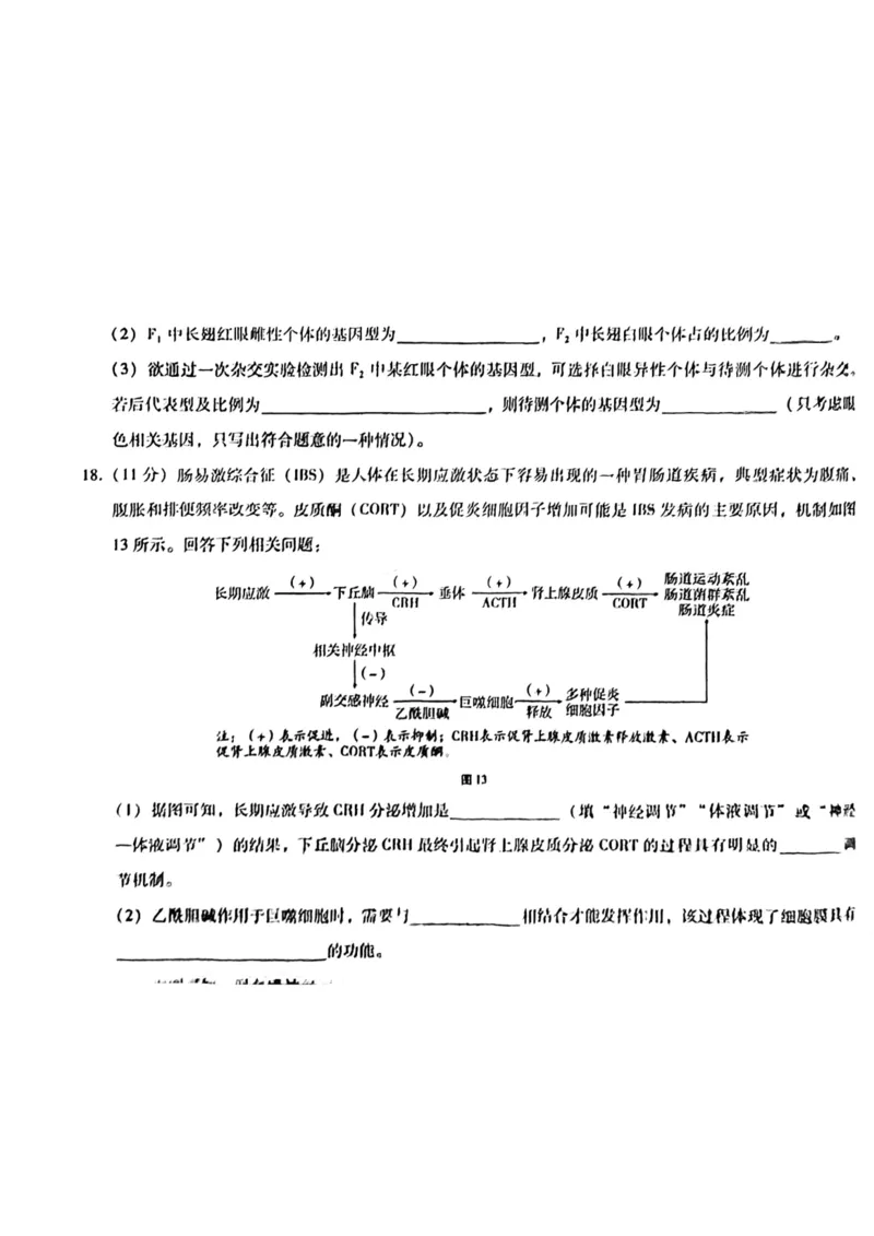 巴蜀七生物试题_2024年2月_01每日更新_14号_2023届重庆市巴蜀中学高考适应性月考卷（七）全科_重庆市巴蜀中学2022-2023学年高考适应性月考卷（七）生物