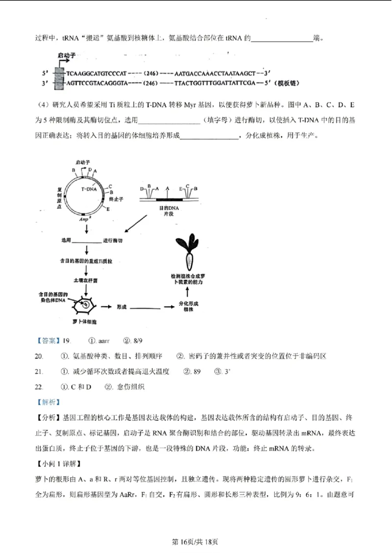 安徽生物答案(1)_2024年2月_2024年九省联考各版本合集_安徽（物化生政史地）