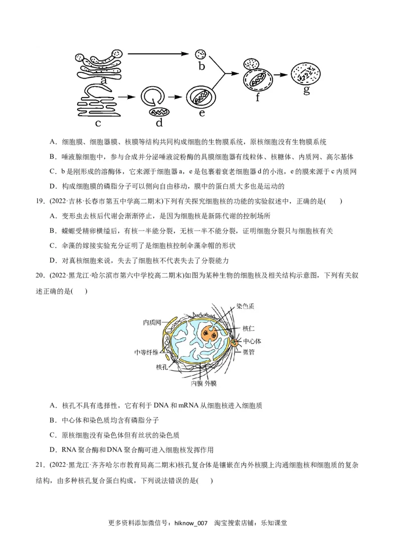 第3章细胞的基本结构（B卷&middot;能力提升练）（原卷版）_E015高中全科试卷_生物试题_必修1_1.单元测试_1.单元测试AB卷（第一套）