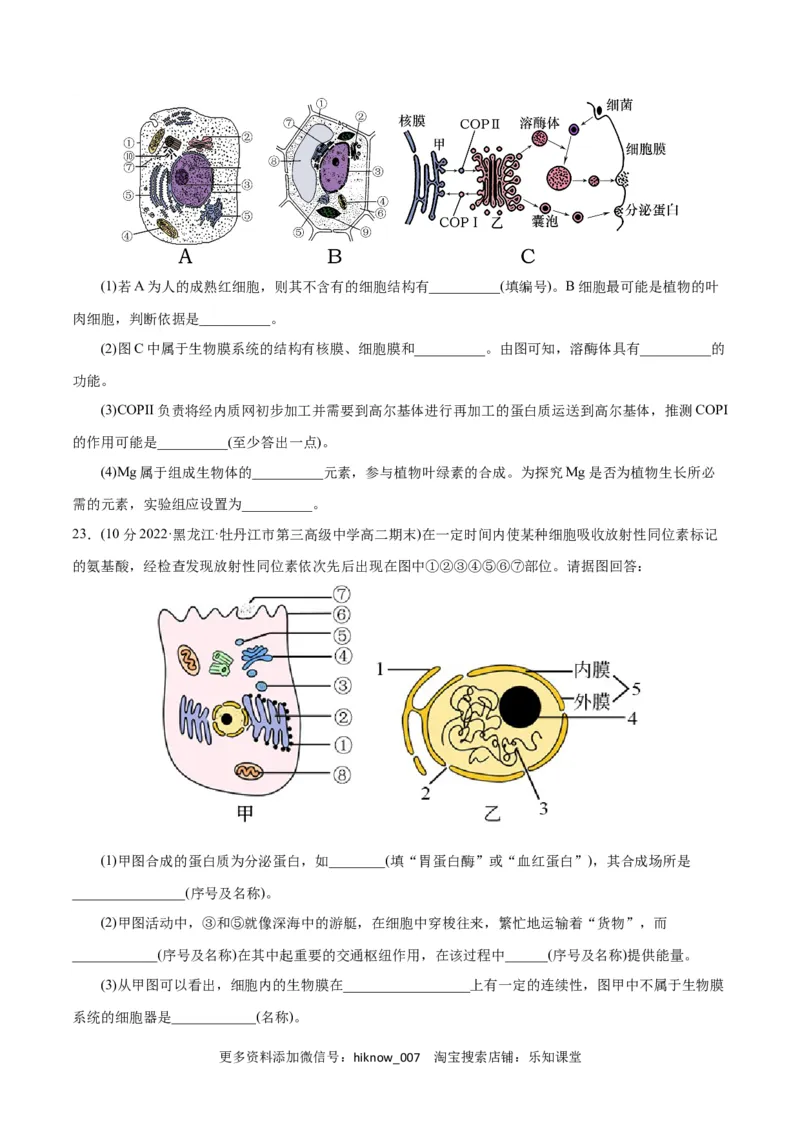 第3章细胞的基本结构（B卷&middot;能力提升练）（原卷版）_E015高中全科试卷_生物试题_必修1_1.单元测试_1.单元测试AB卷（第一套）