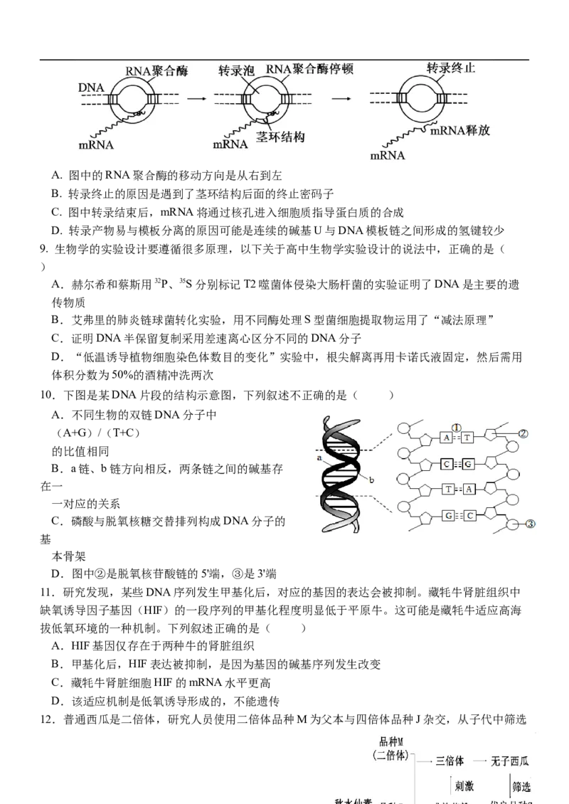 河北省保定市部分高中2025-2026学年高一上学期12月月考生物试题（含答案）_2024-2025高一（7-7月题库）_2026年1月高一_260114河北省保定市部分高中2025-2026学年高一上学期12月月考