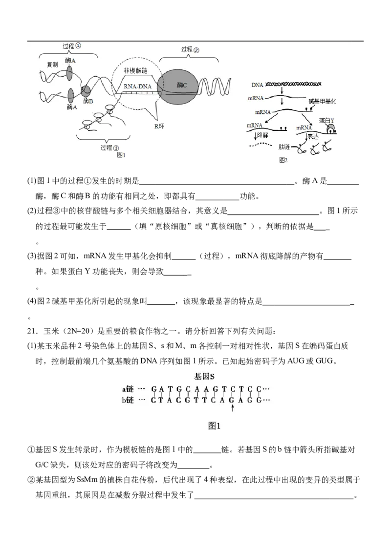 河北省保定市部分高中2025-2026学年高一上学期12月月考生物试题（含答案）_2024-2025高一（7-7月题库）_2026年1月高一_260114河北省保定市部分高中2025-2026学年高一上学期12月月考