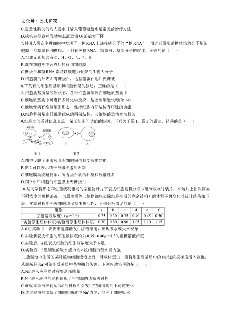 河南省周口市鹿邑县2024-2025学年高一上学期11月期中考试生物Word版含答案_2024-2025高一（7-7月题库）_2024年12月试卷_1209河南省周口市鹿邑县2024-2025学年高一上学期11月期中考试