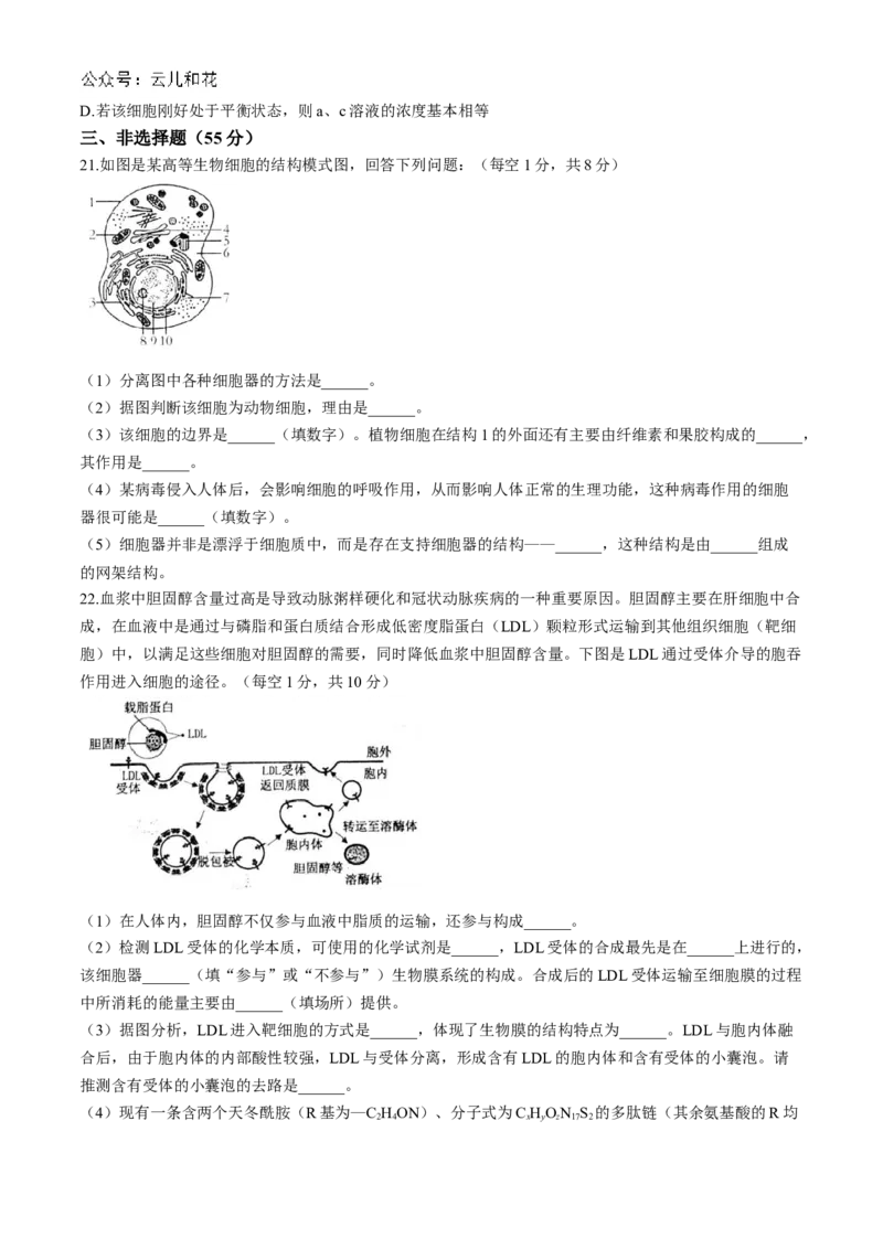 河南省周口市鹿邑县2024-2025学年高一上学期11月期中考试生物Word版含答案_2024-2025高一（7-7月题库）_2024年12月试卷_1209河南省周口市鹿邑县2024-2025学年高一上学期11月期中考试