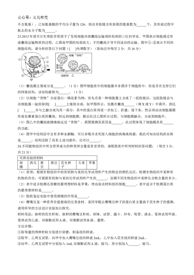 河南省周口市鹿邑县2024-2025学年高一上学期11月期中考试生物Word版含答案_2024-2025高一（7-7月题库）_2024年12月试卷_1209河南省周口市鹿邑县2024-2025学年高一上学期11月期中考试