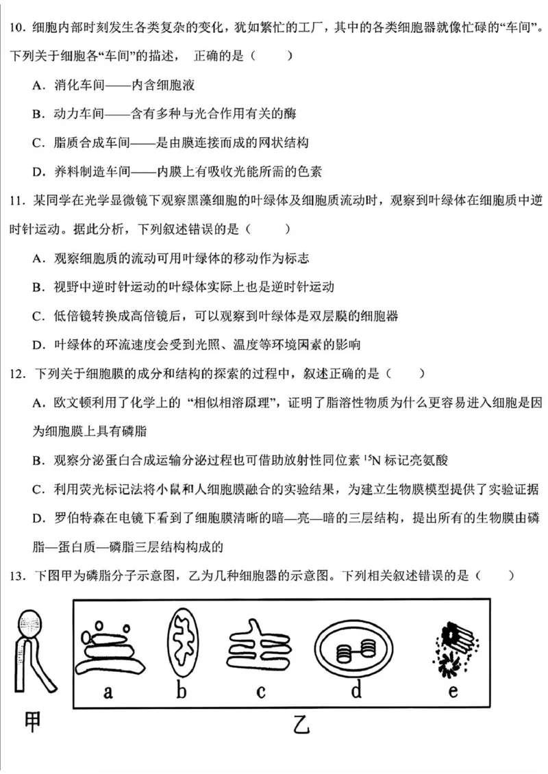 黑龙江省哈尔滨德强高级中学2025-2026学年高一上学期期末考试生物试卷（PDF版，含答案）_2024-2025高一（7-7月题库）_2026年1月高一