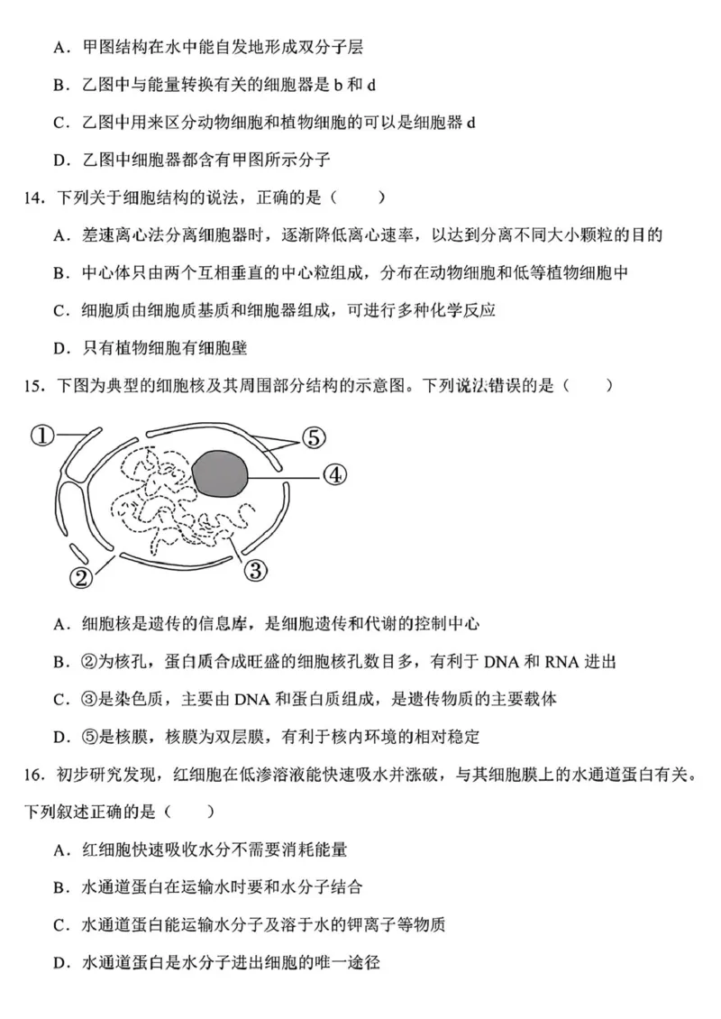 黑龙江省哈尔滨德强高级中学2025-2026学年高一上学期期末考试生物试卷（PDF版，含答案）_2024-2025高一（7-7月题库）_2026年1月高一