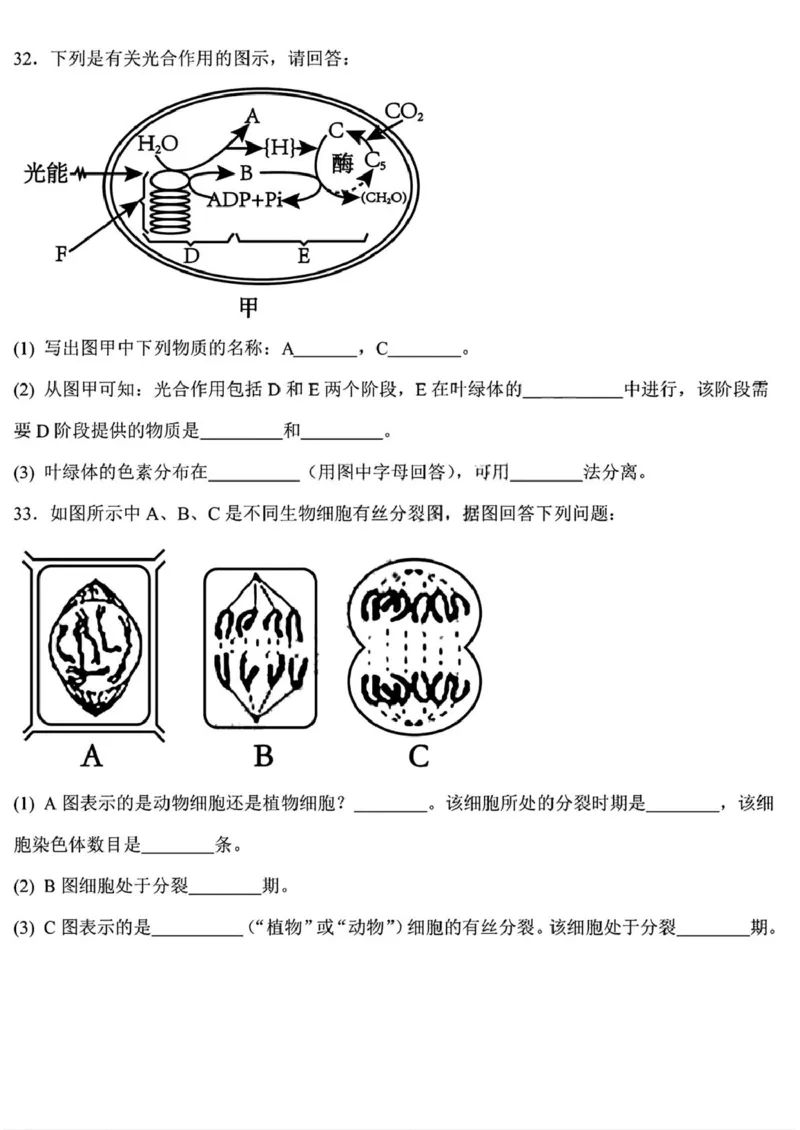 黑龙江省哈尔滨德强高级中学2025-2026学年高一上学期期末考试生物试卷（PDF版，含答案）_2024-2025高一（7-7月题库）_2026年1月高一