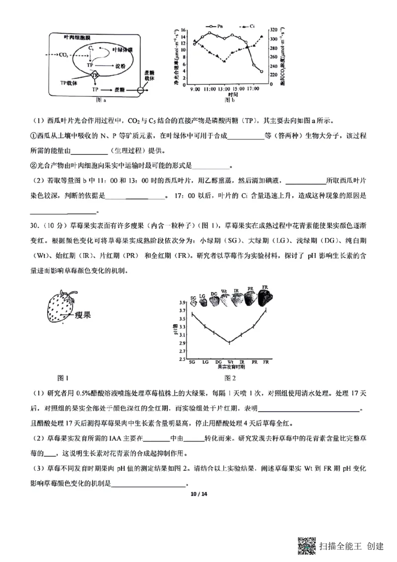 四川省成都市七中2023～2024学年度高三下学期入学考试理综试卷_2024年2月_01每日更新_26号_2024届四川省成都市第七中学高三下学期入学考试