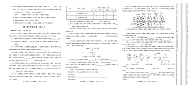 陕西省2024-2025学年高一下学期3月第一次联考生物试题_2024-2025高一（7-7月题库）_2025年03月试卷_0328陕西省2024-2025学年高一下学期3月第一次联考