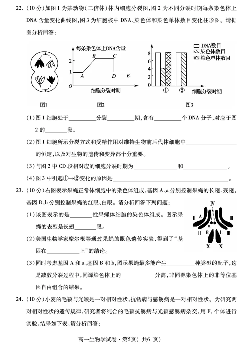 高一生物_2024-2025高一（7-7月题库）_2024年7月试卷_0727青海省西宁市2023-2024学年高一下学期期末调研测试