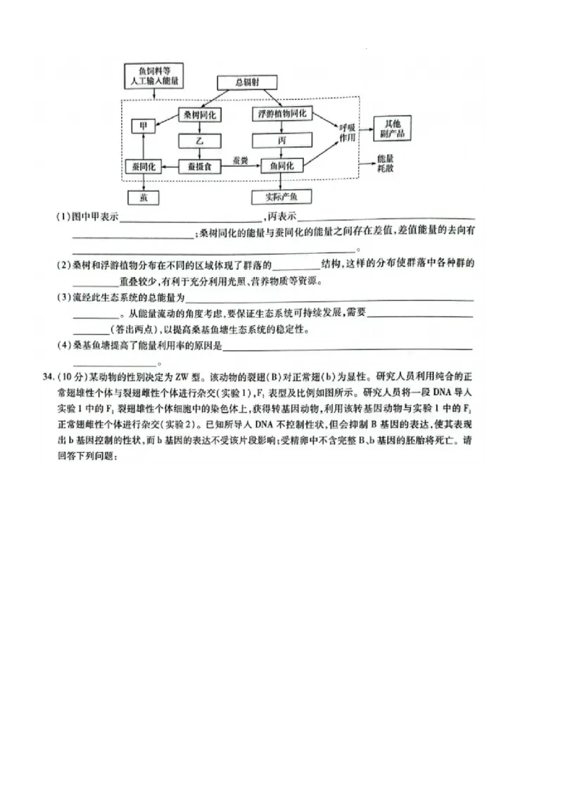 安阳市2024届高三二模理综试卷_2024年3月_013月合集_2024届河南省四市高三3月联考（焦作濮阳安阳鹤壁二模）_河南省四市2024届高三3月联考（焦作濮阳安阳鹤壁二模）理综