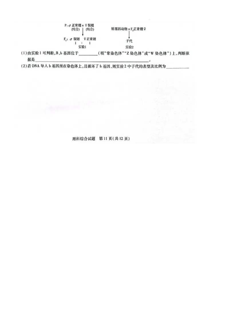 安阳市2024届高三二模理综试卷_2024年3月_013月合集_2024届河南省四市高三3月联考（焦作濮阳安阳鹤壁二模）_河南省四市2024届高三3月联考（焦作濮阳安阳鹤壁二模）理综