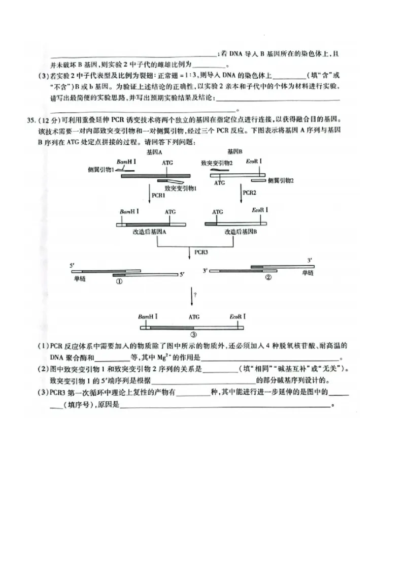 安阳市2024届高三二模理综试卷_2024年3月_013月合集_2024届河南省四市高三3月联考（焦作濮阳安阳鹤壁二模）_河南省四市2024届高三3月联考（焦作濮阳安阳鹤壁二模）理综