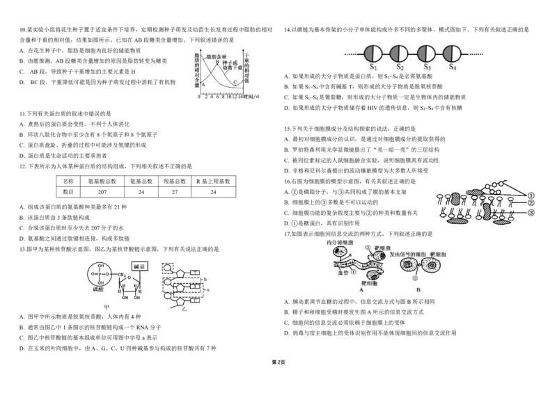 黑龙江省哈尔滨师范大学附属中学2024-2025学年高一上学期期中考试生物PDF版含答案（可编辑）_2024-2025高一（7-7月题库）_2024年12月试卷