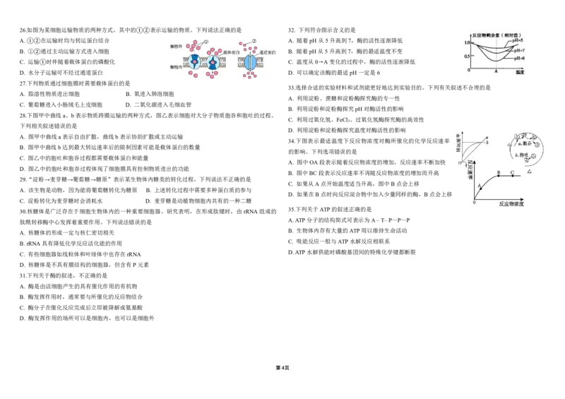 黑龙江省哈尔滨师范大学附属中学2024-2025学年高一上学期期中考试生物PDF版含答案（可编辑）_2024-2025高一（7-7月题库）_2024年12月试卷