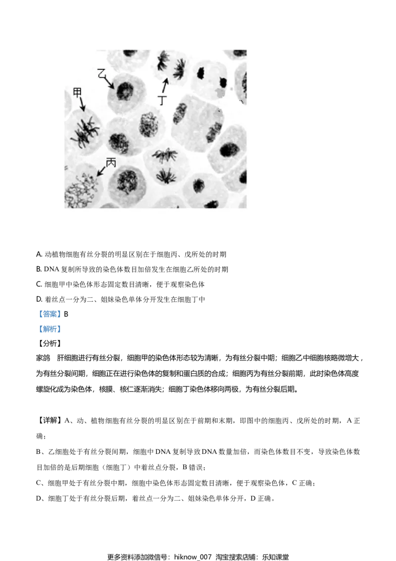 精品解析：山东省烟台市招远一中高一上学期期末生物试题（解析版）_E015高中全科试卷_生物试题_必修1_4.期末试卷_2.各地真题_精品解析：山东省烟台市招远一中高一上学期期末生物试题