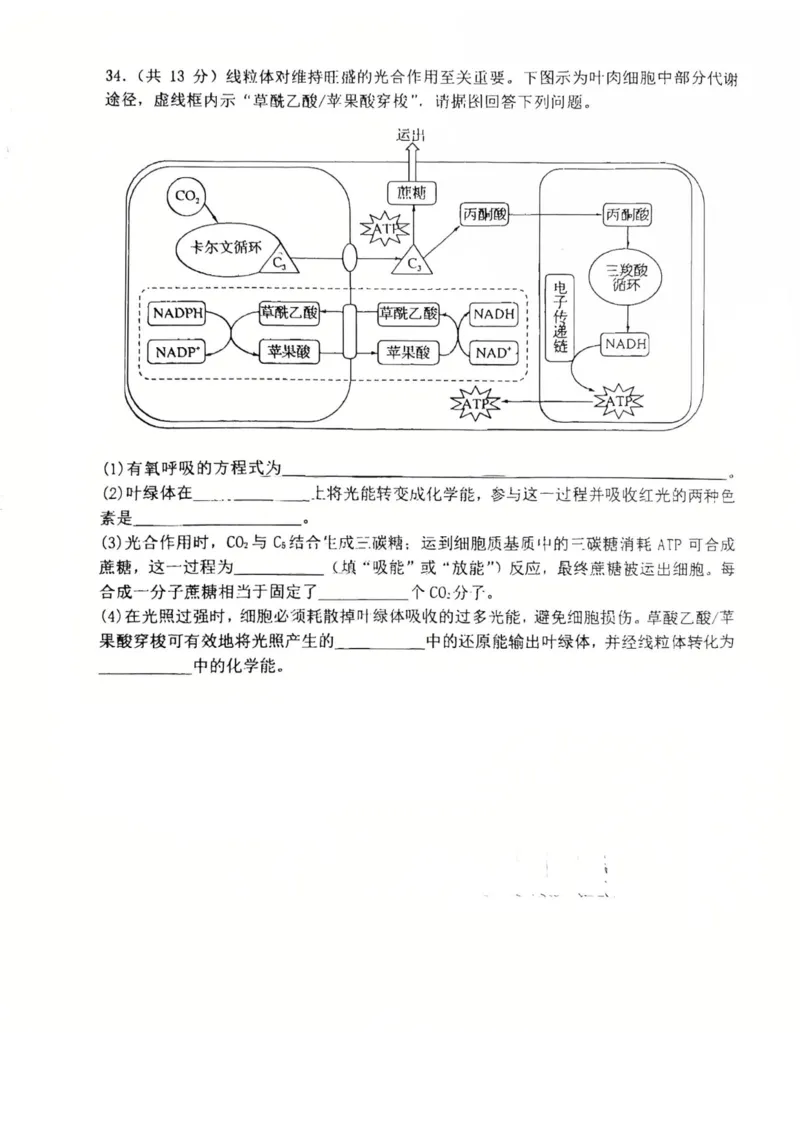 辽宁省五校高一生物联考期末试卷含答案_2024-2025高一（7-7月题库）_2026年1月高一_260123辽宁省五校协作体2025-2026高一1月联考期末（全）
