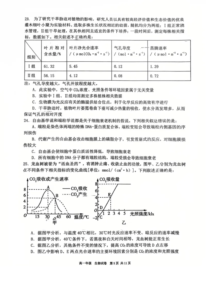 辽宁省五校高一生物联考期末试卷含答案_2024-2025高一（7-7月题库）_2026年1月高一_260123辽宁省五校协作体2025-2026高一1月联考期末（全）