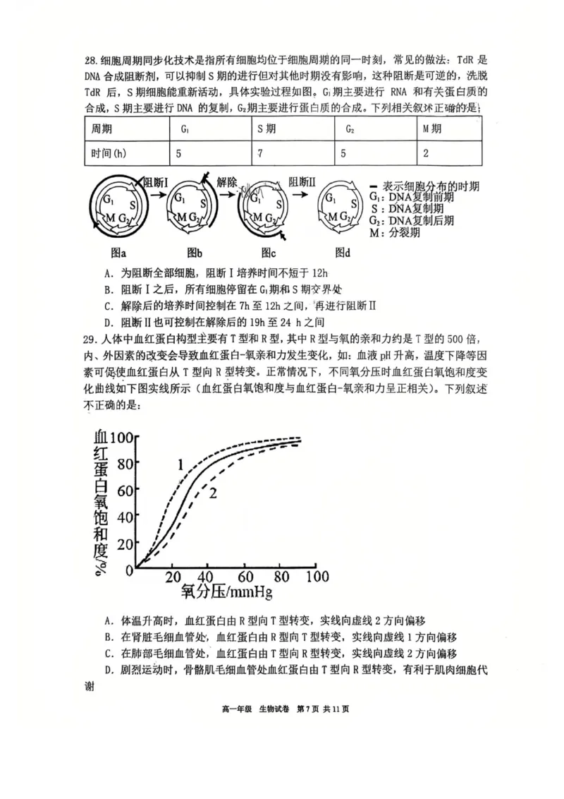 辽宁省五校高一生物联考期末试卷含答案_2024-2025高一（7-7月题库）_2026年1月高一_260123辽宁省五校协作体2025-2026高一1月联考期末（全）