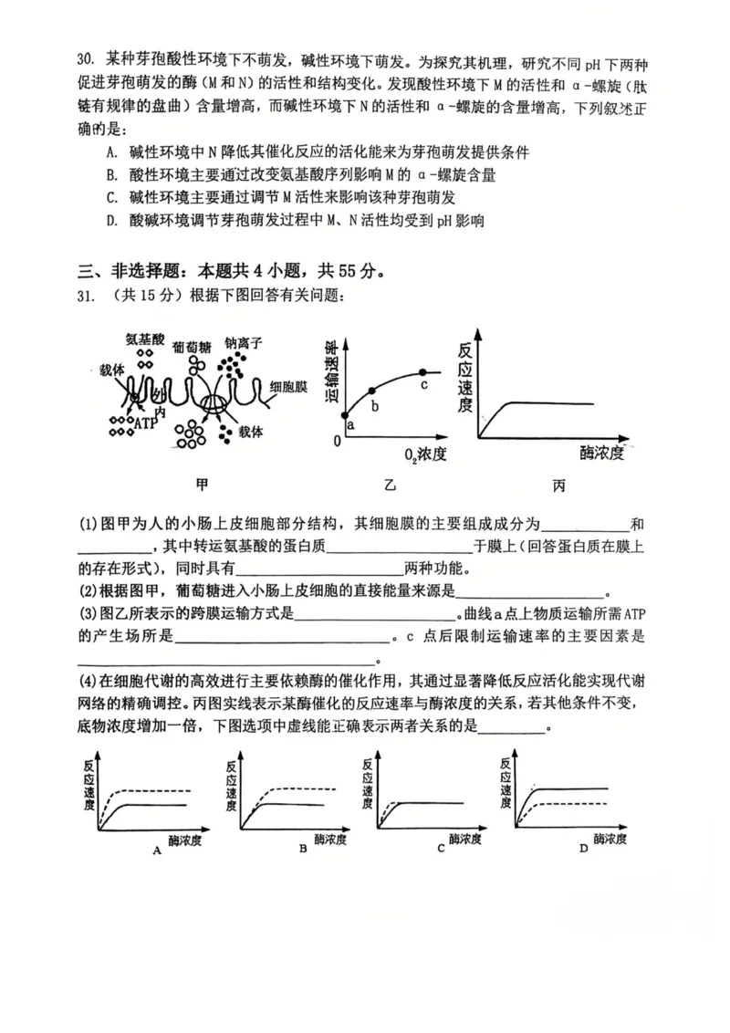 辽宁省五校高一生物联考期末试卷含答案_2024-2025高一（7-7月题库）_2026年1月高一_260123辽宁省五校协作体2025-2026高一1月联考期末（全）