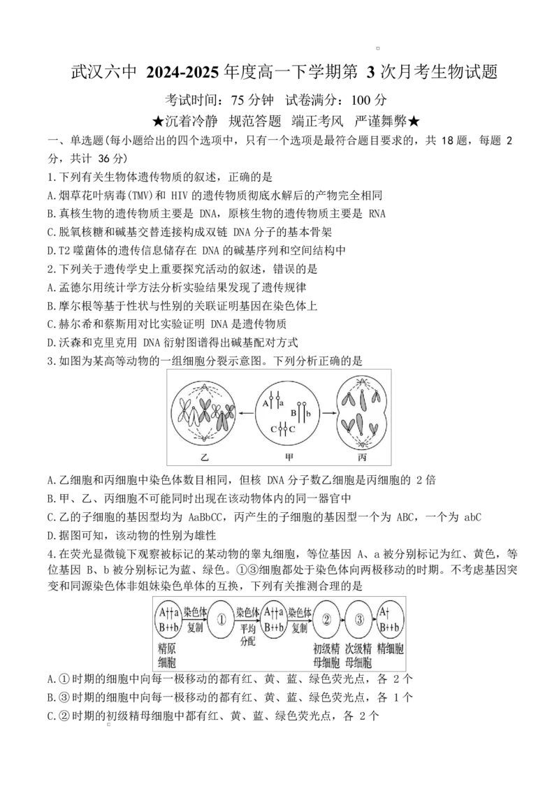 湖北省武汉市第六中学2024-2025学年高一下学期第3次月考生物试题Word版含答案_2024-2025高一（7-7月题库）_2025年6月7.10新增_0603湖北省武汉市第六中学2024-2025学年高一下学期第3次月考
