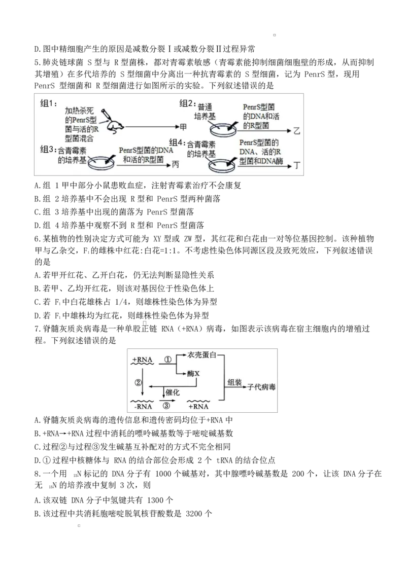 湖北省武汉市第六中学2024-2025学年高一下学期第3次月考生物试题Word版含答案_2024-2025高一（7-7月题库）_2025年6月7.10新增_0603湖北省武汉市第六中学2024-2025学年高一下学期第3次月考