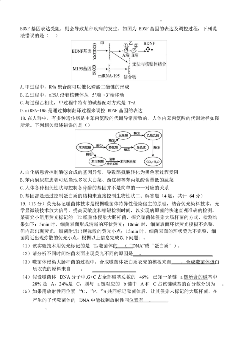 湖北省武汉市第六中学2024-2025学年高一下学期第3次月考生物试题Word版含答案_2024-2025高一（7-7月题库）_2025年6月7.10新增_0603湖北省武汉市第六中学2024-2025学年高一下学期第3次月考