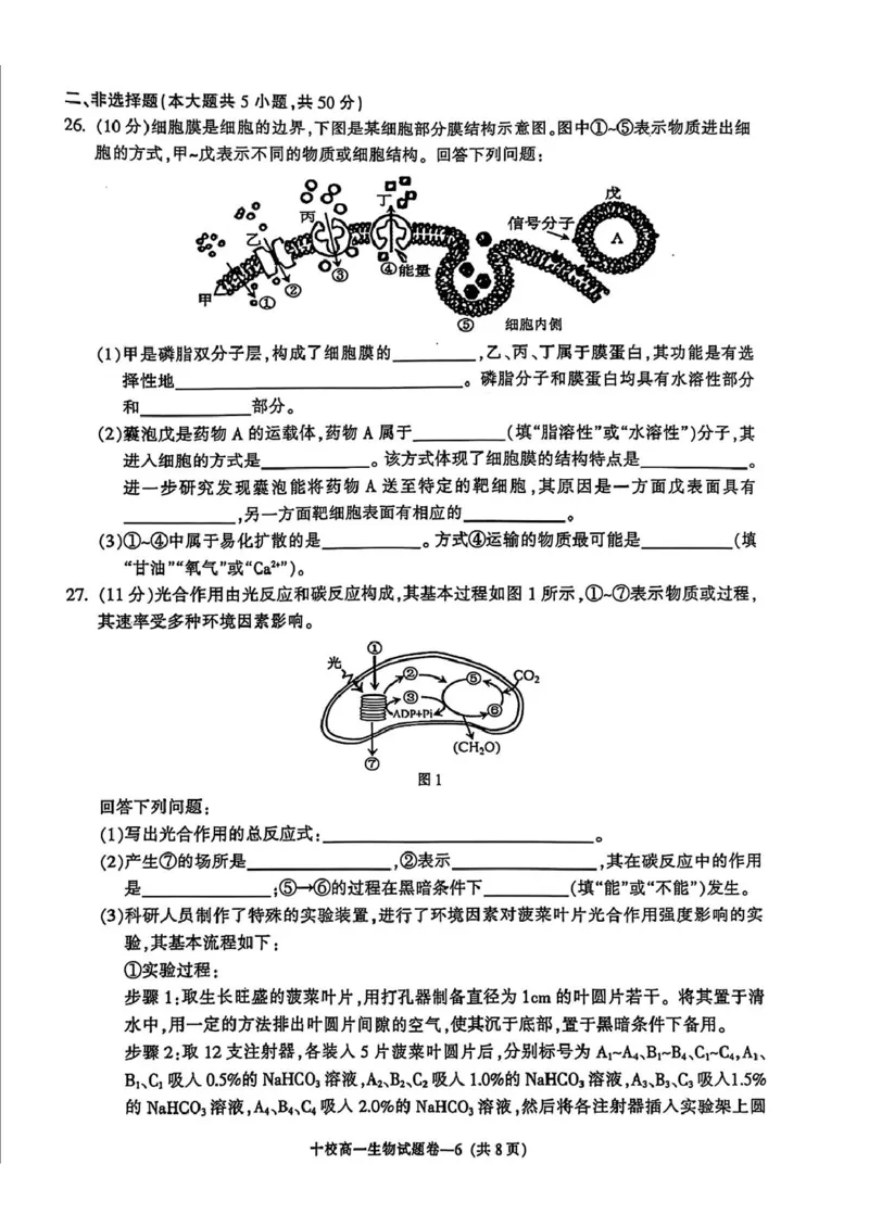浙江省金华十校2024-2025学年高一上学期期末调研考试生物PDF版含答案_2024-2025高一（7-7月题库）_2025年01月试卷_0120浙江省金华十校2024-2025学年高一上学期期末调研考试