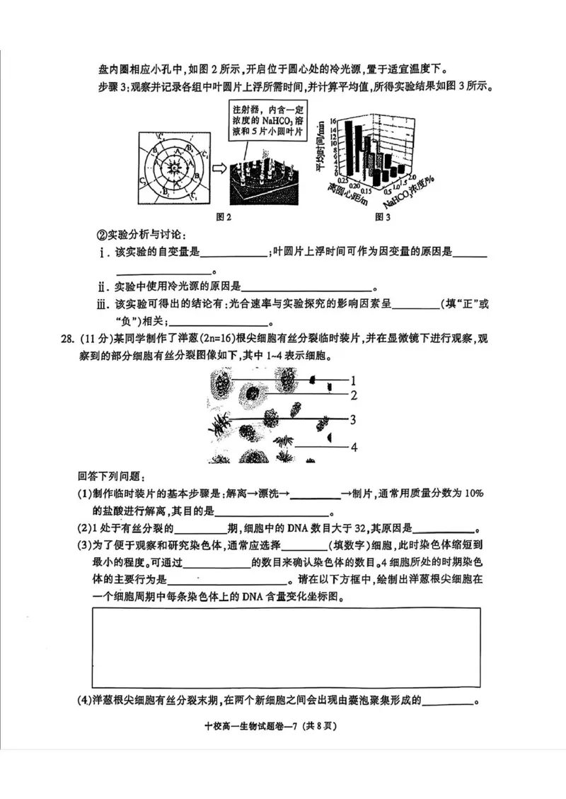 浙江省金华十校2024-2025学年高一上学期期末调研考试生物PDF版含答案_2024-2025高一（7-7月题库）_2025年01月试卷_0120浙江省金华十校2024-2025学年高一上学期期末调研考试