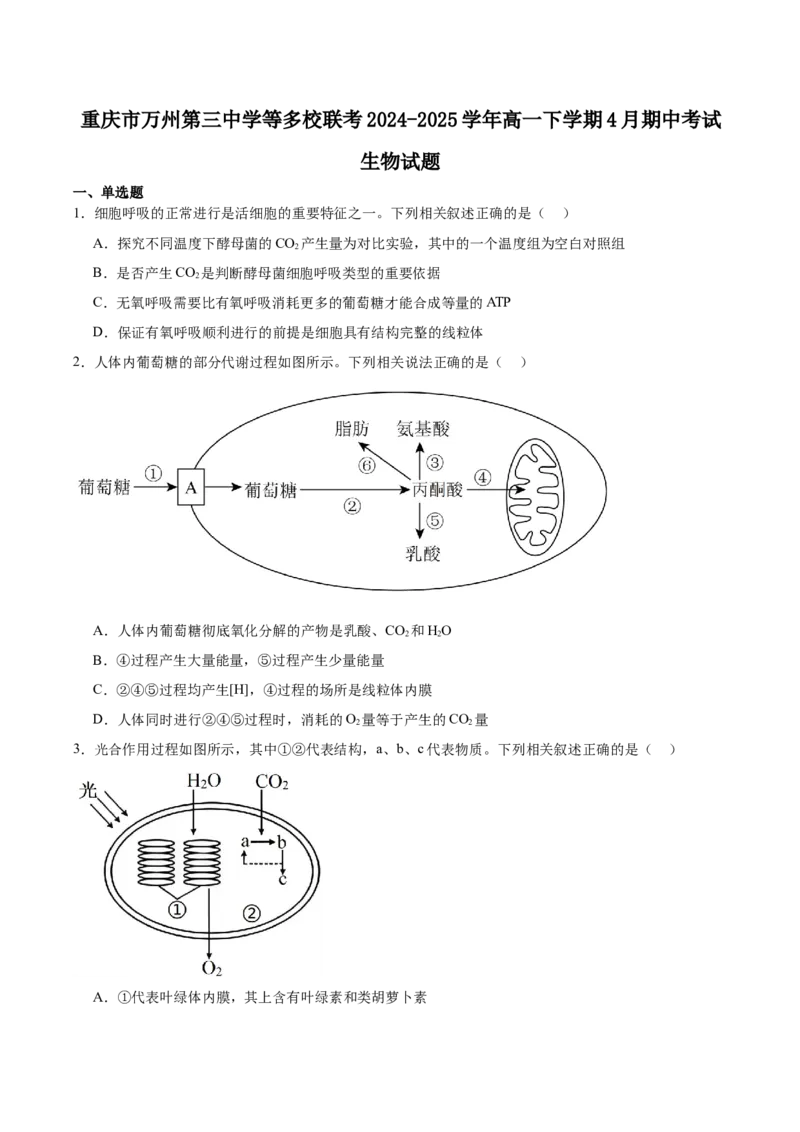 重庆市万州第三中学等多校联考2024-2025学年高一下学期4月期中考试生物Word版含答案_2024-2025高一（7-7月题库）_2025年6月7.10新增