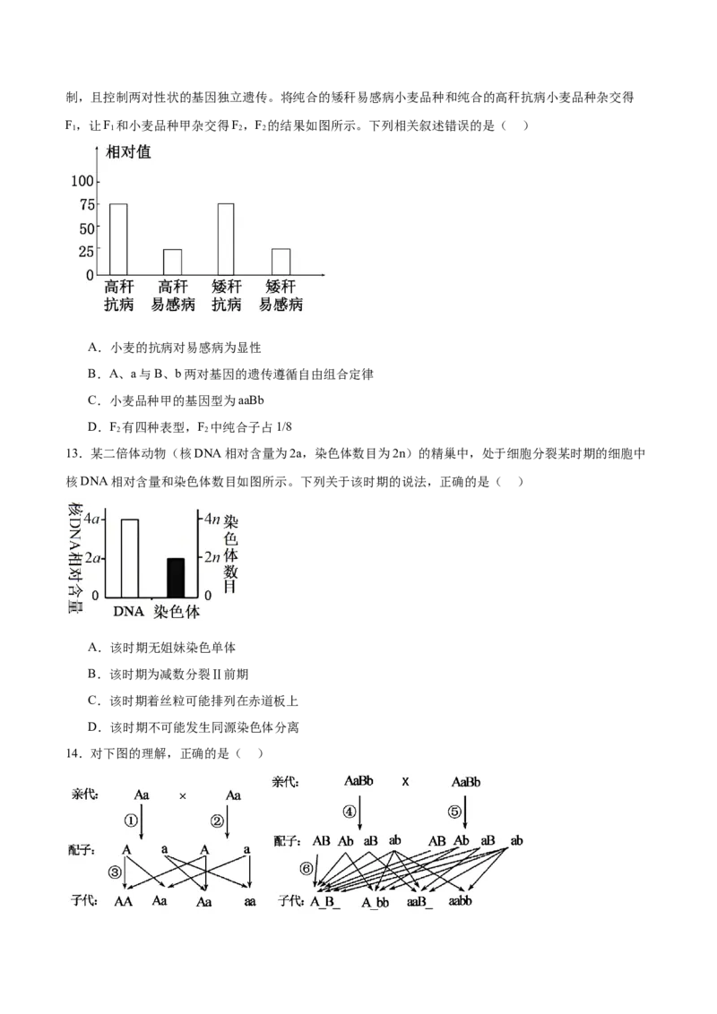 重庆市万州第三中学等多校联考2024-2025学年高一下学期4月期中考试生物Word版含答案_2024-2025高一（7-7月题库）_2025年6月7.10新增