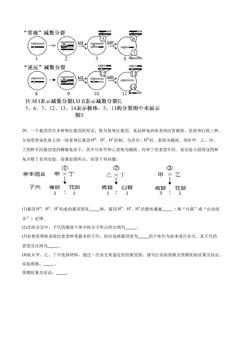 重庆市万州第三中学等多校联考2024-2025学年高一下学期4月期中考试生物Word版含答案_2024-2025高一（7-7月题库）_2025年6月7.10新增
