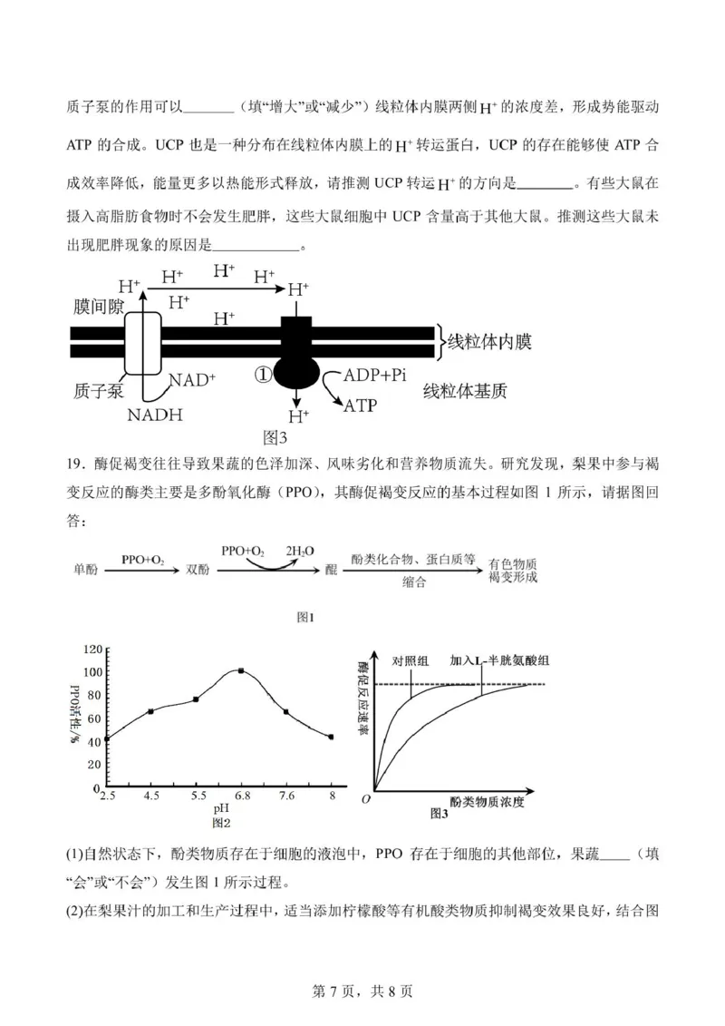 福建省莆田第一中学2024-2025学年高一上学期期末考试生物试题（扫描版有答案）_2024-2025高一（7-7月题库）_2025年02月试卷_0205福建省莆田第一中学2024-2025学年高一上学期期末考试