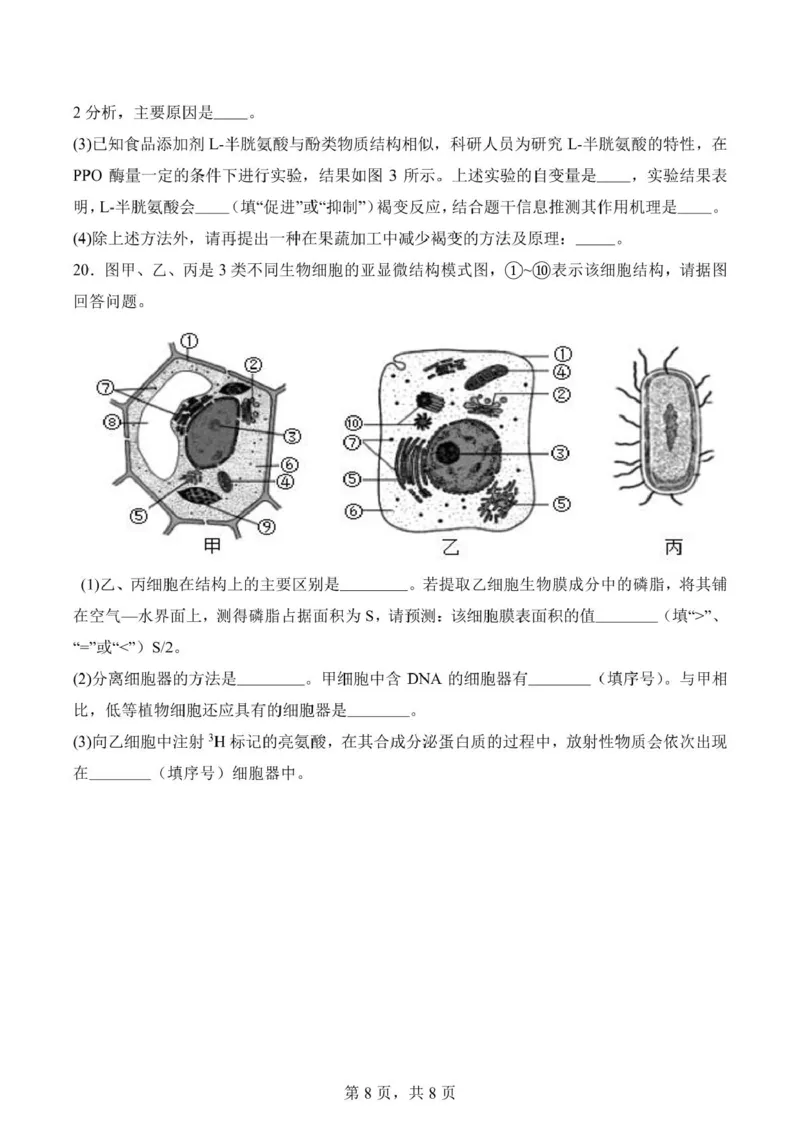 福建省莆田第一中学2024-2025学年高一上学期期末考试生物试题（扫描版有答案）_2024-2025高一（7-7月题库）_2025年02月试卷_0205福建省莆田第一中学2024-2025学年高一上学期期末考试