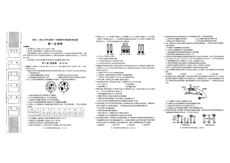 陕西省汉中市期中联考2024-2025学年高一上学期11月期中生物_2024-2025高一（7-7月题库）_2024年11月试卷_1116陕西省汉中市期中联考2024-2025学年高一上学期11月期中