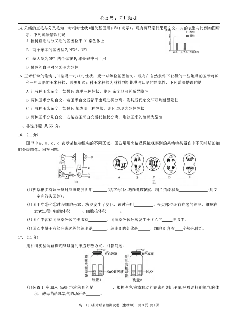 重庆市2026届高一2024年7月期末考试生物试卷_2024-2025高一（7-7月题库）_2024年7月试卷_0708重庆市2023-2024学年高一下学期期末考试