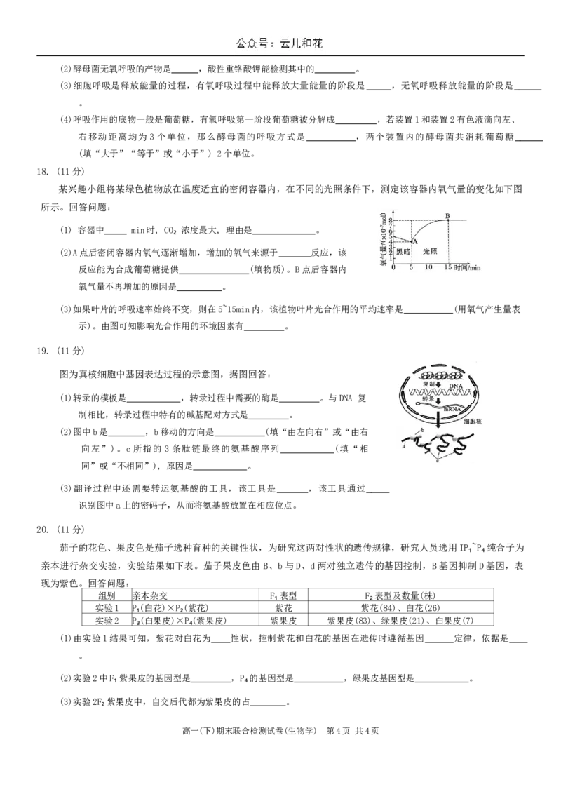 重庆市2026届高一2024年7月期末考试生物试卷_2024-2025高一（7-7月题库）_2024年7月试卷_0708重庆市2023-2024学年高一下学期期末考试