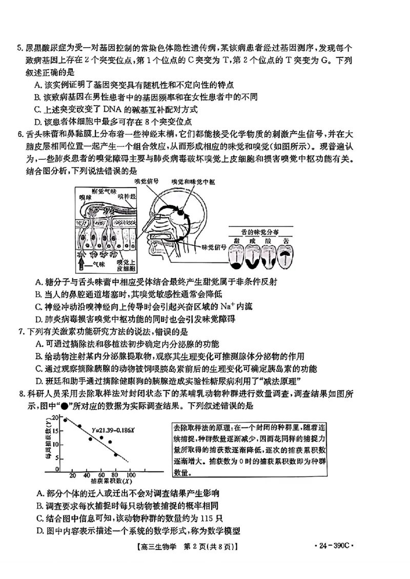 扫描件_2024年湛江市普通高考第二次模拟测试生物试卷_2024年4月_01按日期_14号_2024届广东省湛江市二模（金太阳390C）_2024届广东省湛江市高三下学期二模考试生物试题