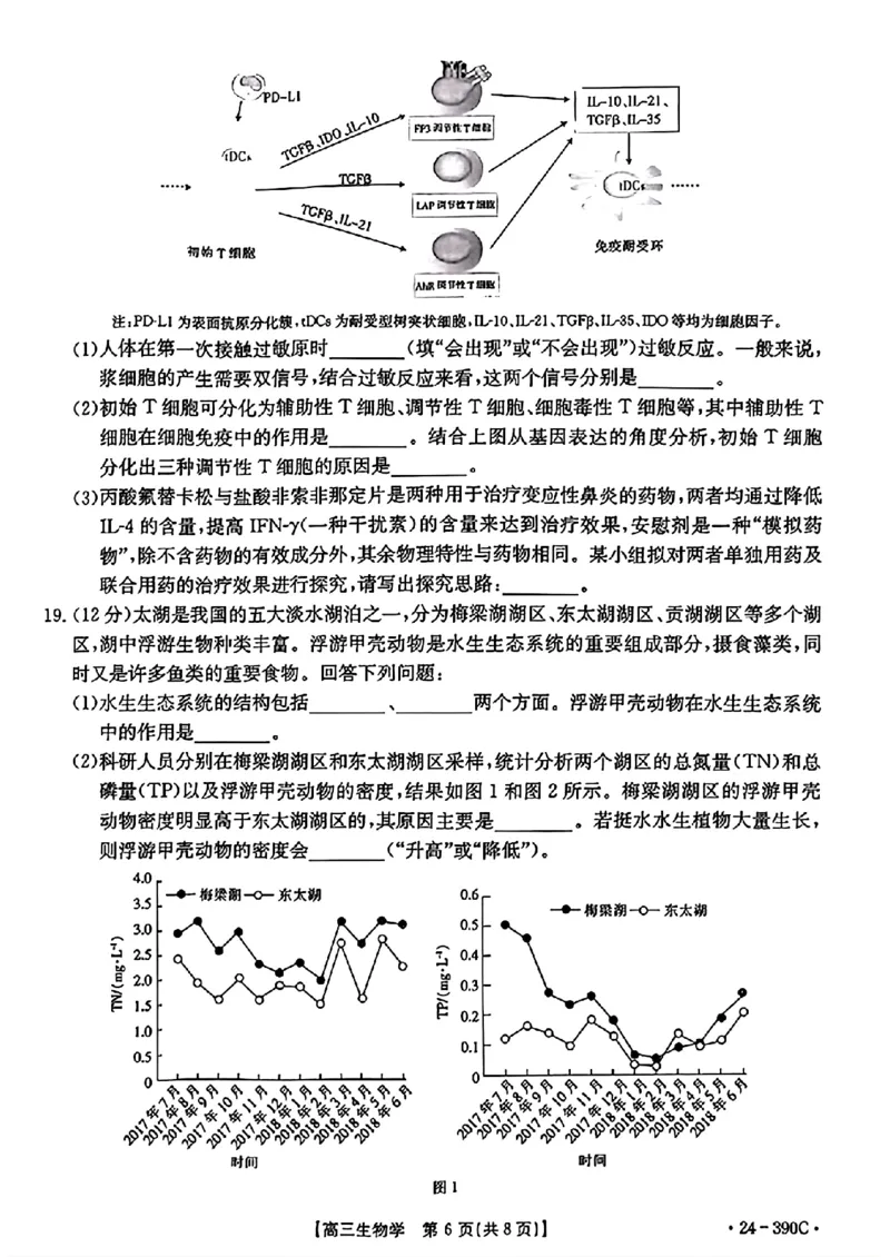 扫描件_2024年湛江市普通高考第二次模拟测试生物试卷_2024年4月_01按日期_14号_2024届广东省湛江市二模（金太阳390C）_2024届广东省湛江市高三下学期二模考试生物试题